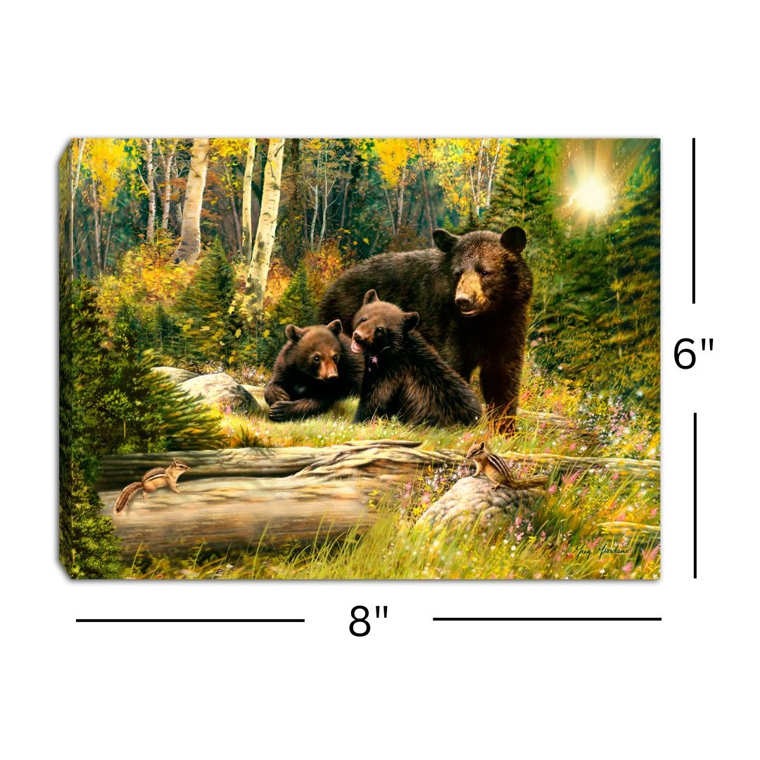 Black Bear Family 8x6 Lighted Tabletop Canvas