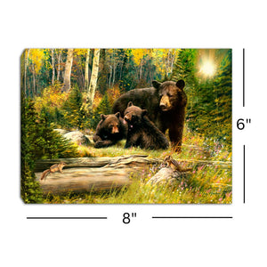 Black Bear Family 8x6 Lighted Tabletop Canvas