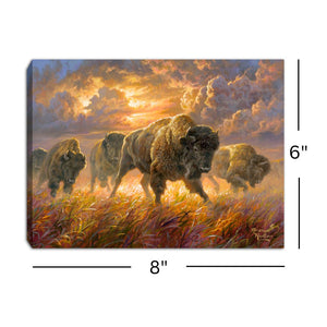 Running Buffalo 8x6 Lighted Tabletop Canvas