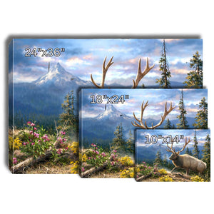 Siskiyou Bluff Canvas Wall Art