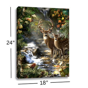 Deer Creek 18x24 Fully Illuminated LED Wall Art