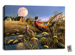 Harvest Moon 18x24 Fully Illuminated LED Wall Art