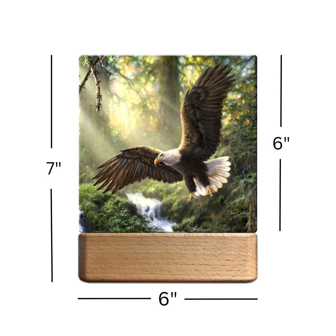 Eagle's Flight LED Nightlight